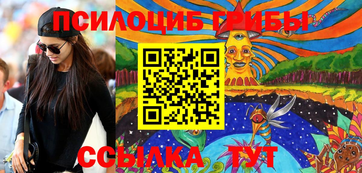 Псилоцибиновые грибы прущие грибы Сегежа